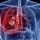 Tuberculose: o que é, causas, sintomas, tratamento, diagnóstico e prevenção